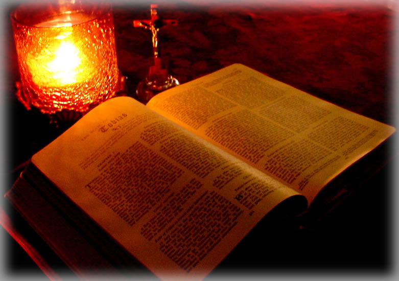 bible2