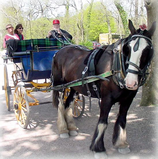 irelandfr-jjauntingcart