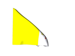 PAPALFLAG
